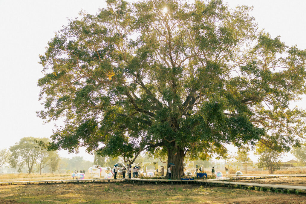 72 Years Birthday Party 78